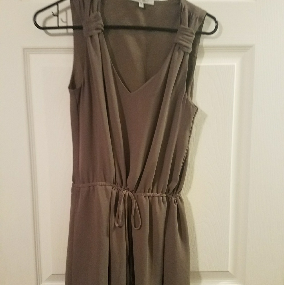 Naked zebra green dress